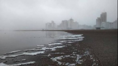 Advertencia violeta por niebla en Necochea: piden extremar cuidados por baja visibilidad durante la mañana