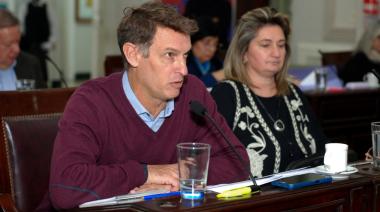 "Hubo una tala de árboles vivos sin explicación alguna": ACT llevó el reclamo al Concejo