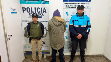 Aprehendieron al acusado de maltrato animal y ahora buscan hogares de tránsito para los tres pitbulls rescatados