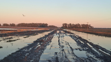 "La crisis era previsible": la Sociedad Rural cuestionó la falta de inversión en los caminos rurales
