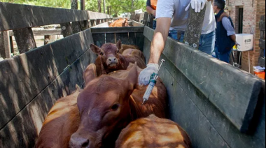 La región ganadera del sudeste bonaerense vuelve a plantarse contra la desregulación sanitaria