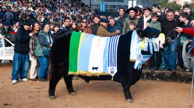 Rip, el toro de La Dulce, fue Gran Campeón Angus en Palermo