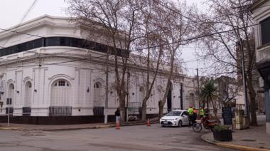 Frenaron una tala en pleno centro: denuncia y permiso en disputa