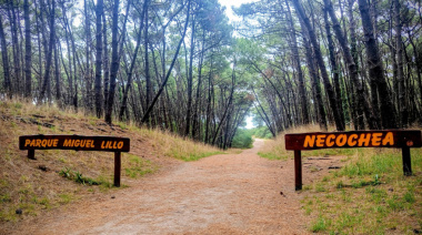 Chaparrones en Necochea: a qué hora llegarían las lluvias este domingo