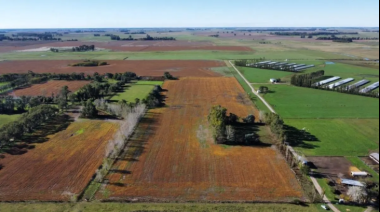 Tierras en manos extranjeras: Necochea y cinco distritos de la región suman más de 122.000 hectáreas