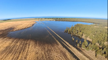 El Niño y los cultivos: qué puede pasar en el sudeste bonaerense, según 35 años de datos