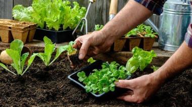San Cayetano tendrá un taller gratuito de huerta con intercambio de semillas y entrega de plantines