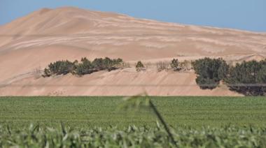 Tierras en manos extranjeras: Necochea y cinco distritos de la región suman más de 122.000 hectáreas