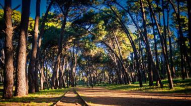 Necochea y Quequén: cómo estará el tiempo este jueves 10 de septiembre