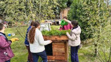 Estudiantes del Colegio Danés construyen cuchas con “techo vivo” para los perros del CAAN