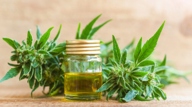 Mediterps organiza en Necochea una charla gratuita sobre cannabis medicinal y REPROCANN