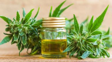 Mediterps organiza en Necochea una charla gratuita sobre cannabis medicinal y REPROCANN
