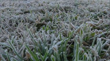Necochea tendrá una mañana bajo cero y una máxima de 14 grados este lunes