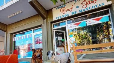 El dueño de Como Perro y Gato habló por Rulo: “Me hago cargo de lo sucedido”