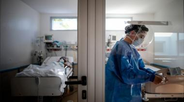 Alerta sanitaria en la Provincia: crecen la triquinosis, el hantavirus y la tuberculosis