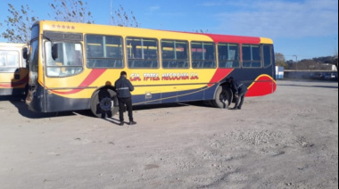 El futuro de los colectivos en Necochea: cambios en estudio y reclamos de los choferes