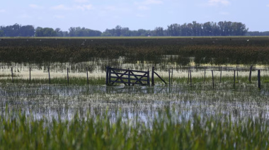 Nación declaró la emergencia agropecuaria en Necochea: qué sectores alcanza y qué beneficios prevé