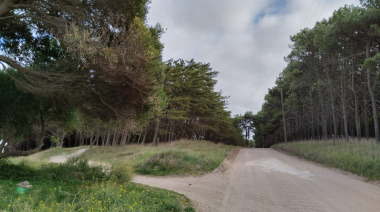 Chaparrones y ráfagas de hasta 50 km/h: cómo estará el viernes en Necochea y Quequén