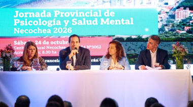 Reforma de Salud Mental: qué cambiaría en las internaciones y por qué divide a los profesionales