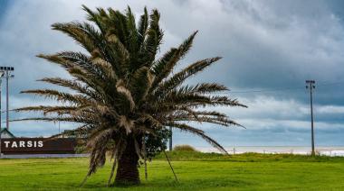 Clima en Necochea y Quequén: domingo con lluvias aisladas y una máxima de 14°C