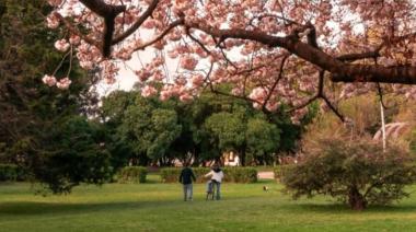 Viernes fresco y ventoso en Necochea y Quequén: ráfagas de hasta 50 km/h