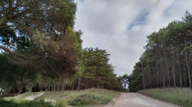 Lunes con 20 grados y tormentas aisladas por la tarde en Necochea y Quequén