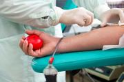 Día del Donante de Sangre: campaña abierta para promover la donación voluntaria en Necochea