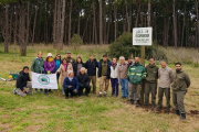 Mientras algunos piensan en talar, otros reforestan el Parque Miguel Lillo