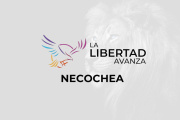 La Libertad Avanza de Necochea aclara: "Los afiliados pueden elegir entre hospital público o clínica privada"