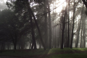 ¿Llueve este fin de semana en Necochea? Así estará el clima sábado y domingo