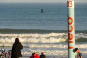 Sala inmersiva sobre ballenas: nueva propuesta educativa y gratuita en Necochea