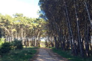 Clima en Necochea: viernes 22 de agosto con tormentas y chaparrones
