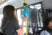 Paso a paso: cómo renovar o tramitar el Boleto Estudiantil en Necochea tras el receso invernal