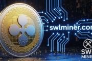 Estabilidad cripto en 2025: los poseedores de ETH y BTC miran hacia SWL Miner Cloud Mining