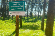 80 años, 16 árboles y una promesa al futuro: el emotivo gesto del Colegio de Farmacéuticos en el Parque Miguel Lillo