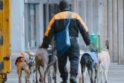 Miércoles con tormentas y alerta amarilla por viento en Necochea