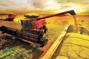 Charla sobre campaña gruesa 2025 en San Cayetano: análisis de mercado y claves productivas