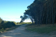 Cómo estará el tiempo en Necochea este jueves: viento del norte y cielo parcialmente nublado