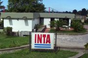 Continúa el ajuste: cierran la agencia del INTA Necochea junto a otras 14 sedes