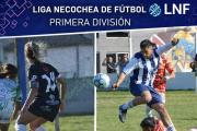 Liga Necochea: Resultados de la fecha 2 del masculino y la fecha 1 del femenino