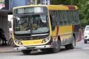 Qué dice el nuevo pliego del transporte público en Necochea: unidades, recorridos y las dudas que deja