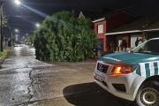 Reporte del temporal en Necochea: más de 50 mm de lluvia, viento de casi 90 km/h y evacuados