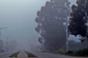 Necochea tendrá niebla y baja visibilidad: qué dice el pronóstico oficial