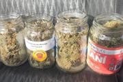 Secuestran marihuana tras una discusión de pareja y detienen a un acusado por robo agravado en Necochea