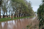 Más de 100 milímetros en pocas horas: sigue el temporal y el alerta por viento en Necochea y la región