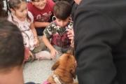Perros en las aulas: así fue la jornada por el Día del Animal en San Cayetano