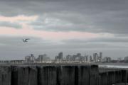 Domingo frío y con neblina en Necochea: cómo estará el tiempo este 24 de mayo
