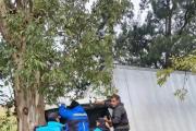 Camionero salió de Mar del Plata, chocó y quedó atrapado: bomberos trabajaron en el lugar para rescatarlo