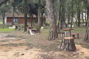 Pinolandia en debate: concesiones, árboles talados y preguntas abiertas sobre el futuro del Parque Miguel Lillo