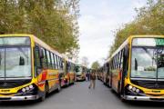 Se suspendió la asamblea de la tarde de los colectivos azules, pero 502 y 503 siguen sin circular